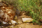 der-avakas-canyon.jpg?b=1&s=170x170&k=20&c=A1UgyTv2aMgbmKreEu7qfHrj41QNQWa9PZm9aSR2VPk=