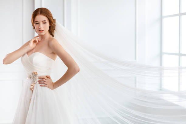 istock Bride in white wedding dress with long veil 647780468