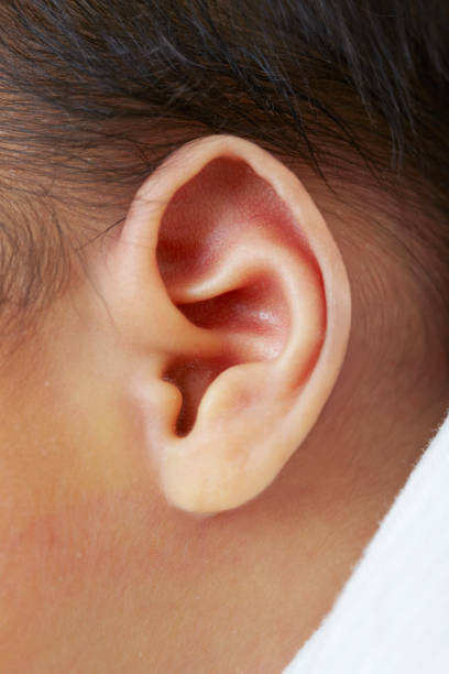 istock Japanese man baby ear 647786602