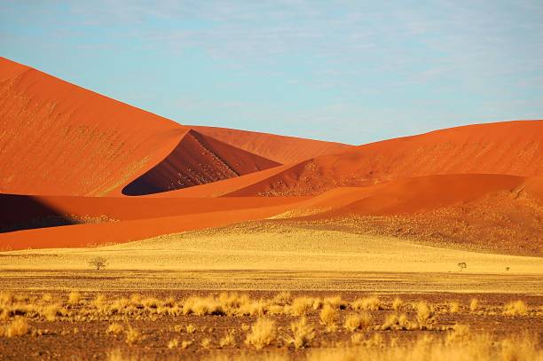 istock Wonderful Namib Desert in Namibia 647793682