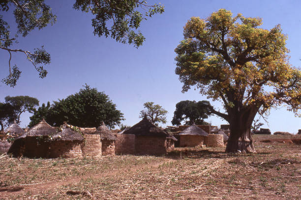 Traditonal Mossi village in dry season with Baobab tree turning colors in central Burkina Faso Africa stock photo