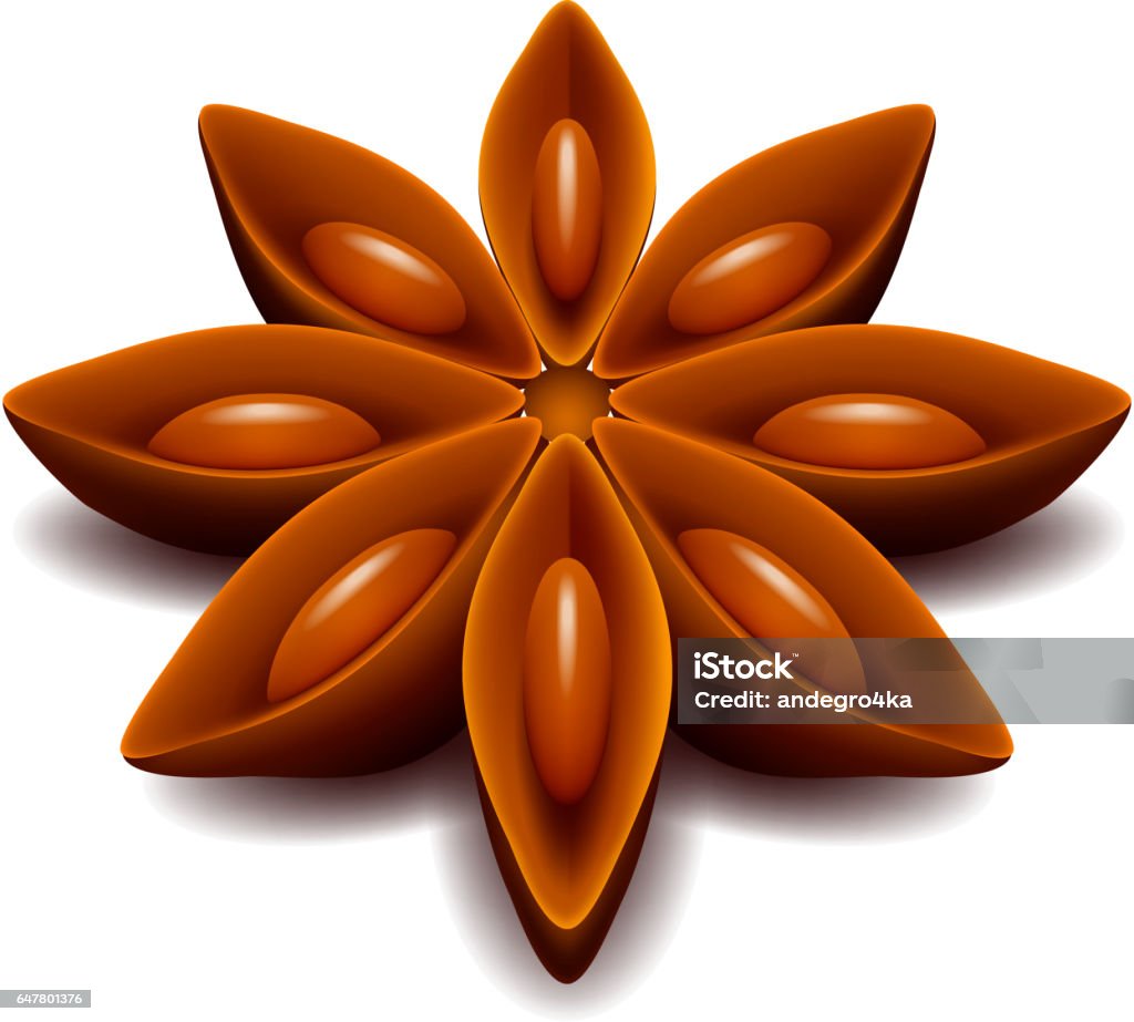 Star Anise Star anise isolated on white photo-realistic vector illustration Star Anise stock vector