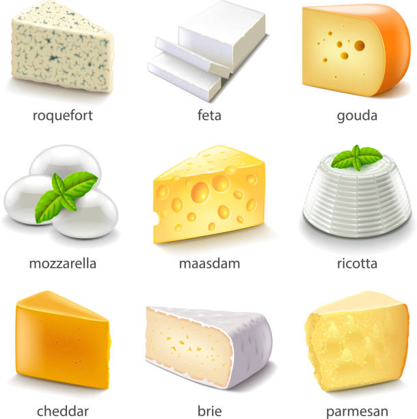 ilustrações de stock, clip art, desenhos animados e ícones de cheese types icons vector set - parmesan cheese