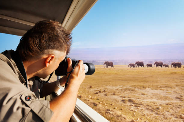 男は、アフリカのサバンナでゾウの写真を撮影 - サファリ動物 写真 ストックフォトと画像