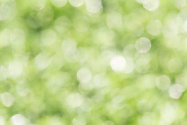 istock Bokeh of nature background 647804888