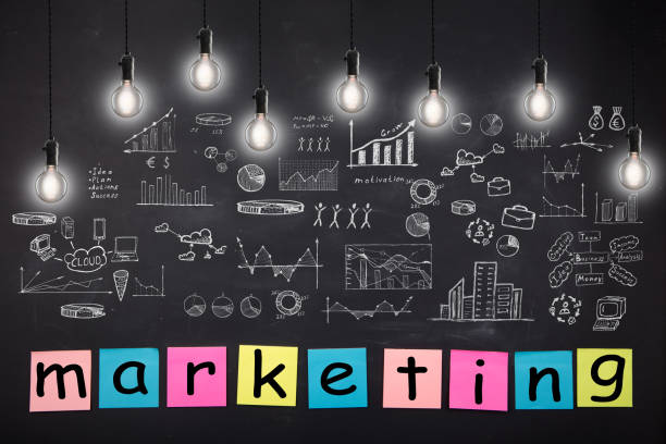 istock Business concept - sketch with schemes and graphs on chalkboard 647805094