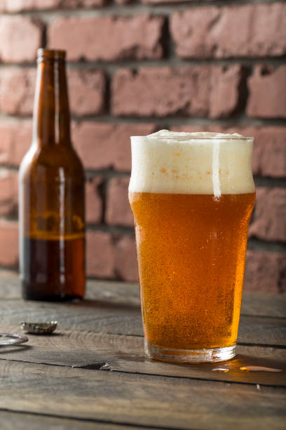istock Cold Refreshing American Lager Crafter Beer 647805172