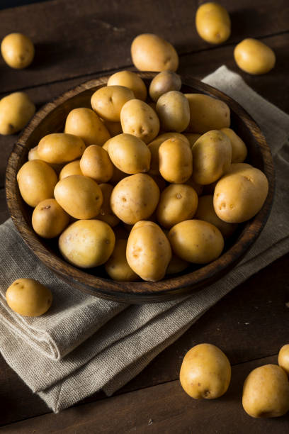 istock Raw Organic Baby Gold Potatoes 647805200