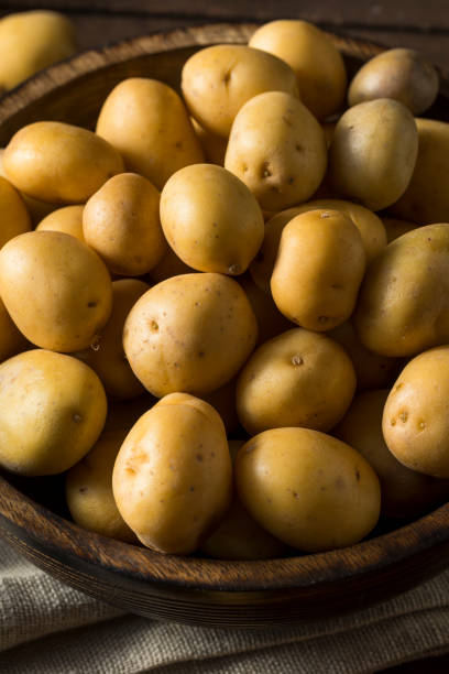 istock Raw Organic Baby Gold Potatoes 647805232