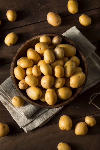 istock Raw Organic Baby Gold Potatoes 647805374