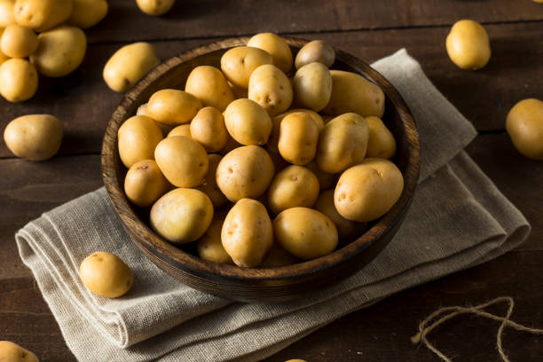 istock Raw Organic Baby Gold Potatoes 647805472