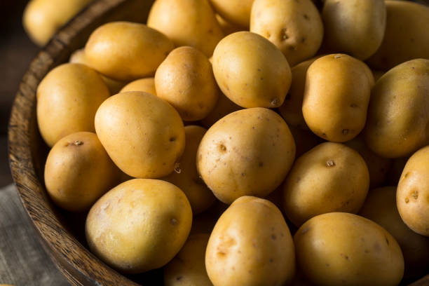istock Raw Organic Baby Gold Potatoes 647805822