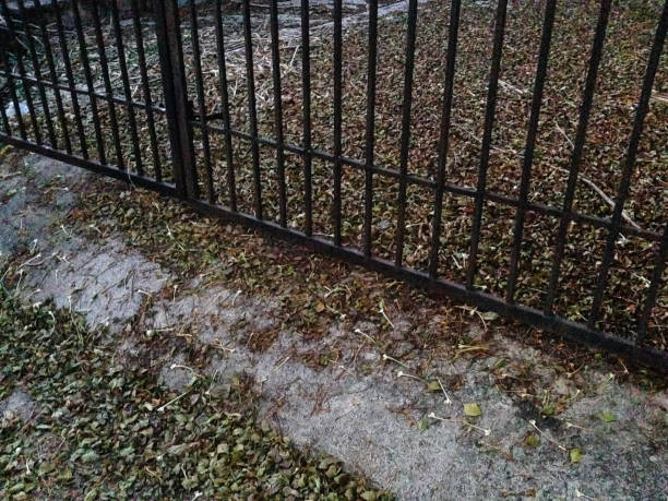 istock Iron fence gate house 647809318