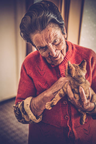 istock Elderly woman petting a kitty 647809608