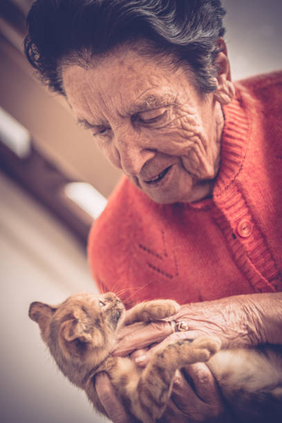 istock Elderly woman petting a kitty 647809612