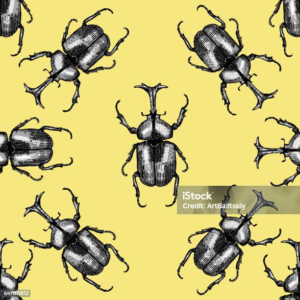 Tesselatted Insect Pattern Insect Beetle Seamless Pattern Background With Engraved Animal Hand ...