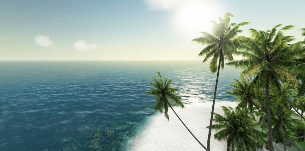 istock sea, tropical island, palm , sun 647817274