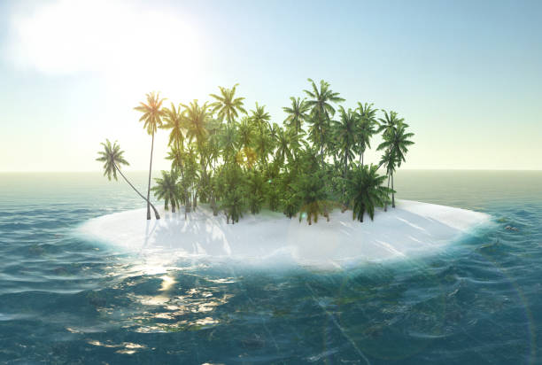 istock sea, tropical island, palm , sun 3d rendering 647817276
