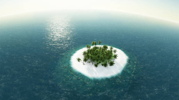 istock sea, tropical island, palm , sun 3D illustration 647817278