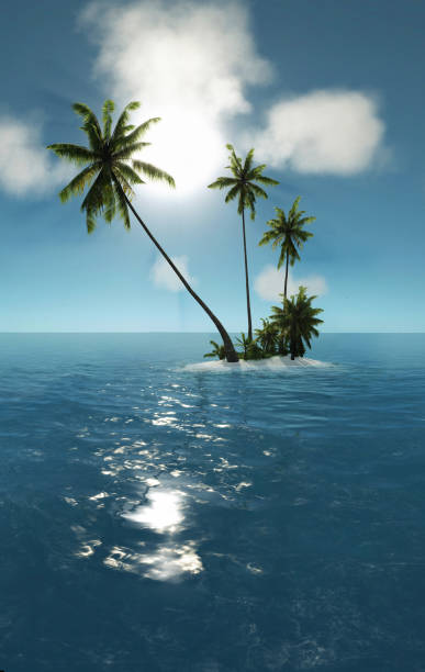 istock sea tropical island palm sun 3d rendering 647817284