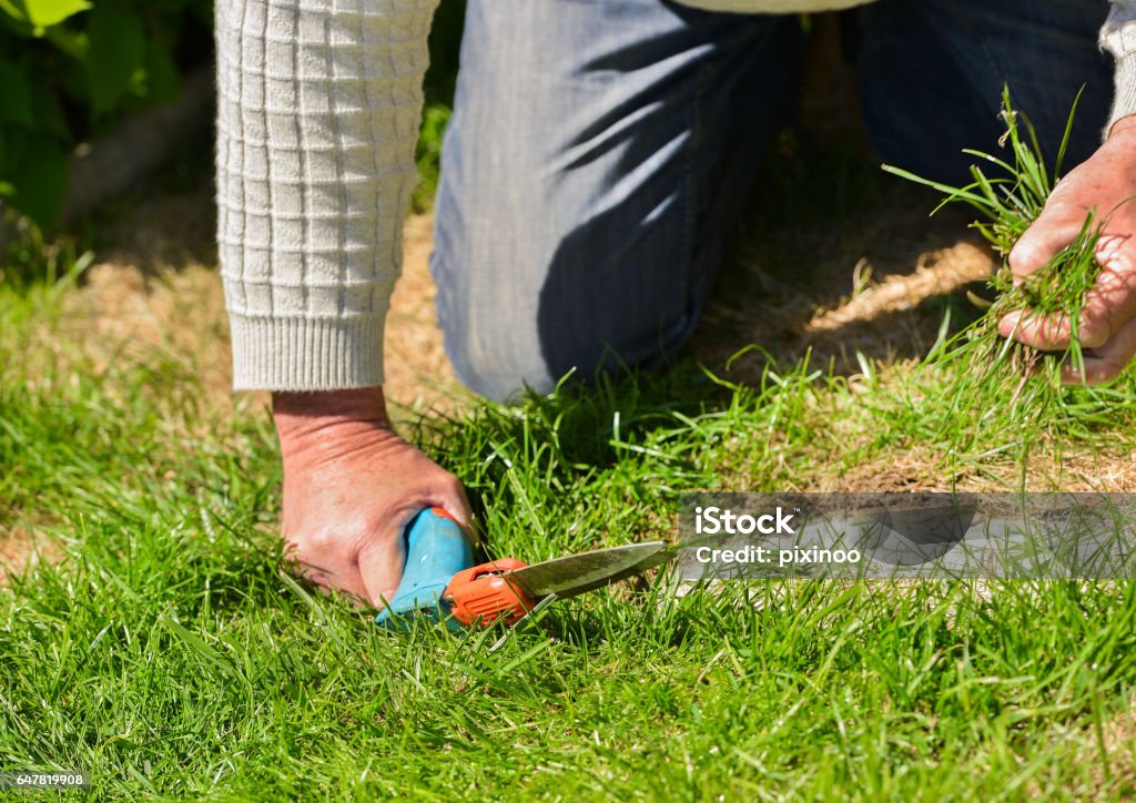 Senior cutting grass with shears Active Lifestyle Stock Photo