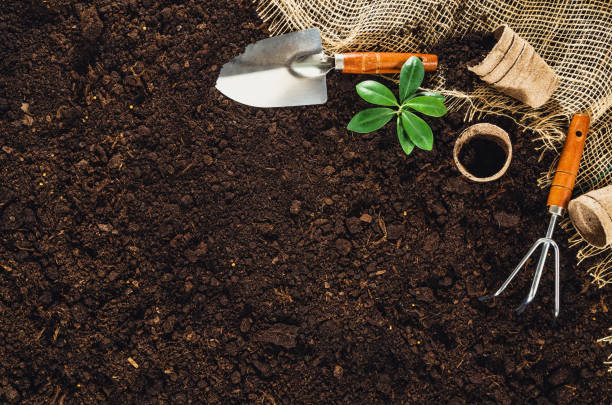 istock Gardening tools on garden soil texture background top view 647820430