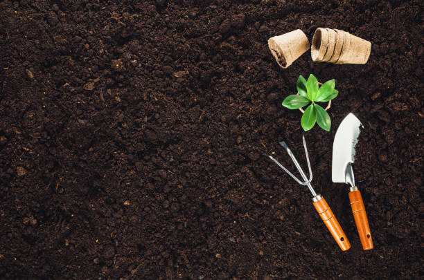 istock Gardening tools on garden soil texture background top view 647820998