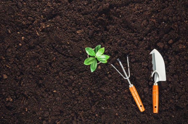 istock Gardening tools on garden soil texture background top view 647821210