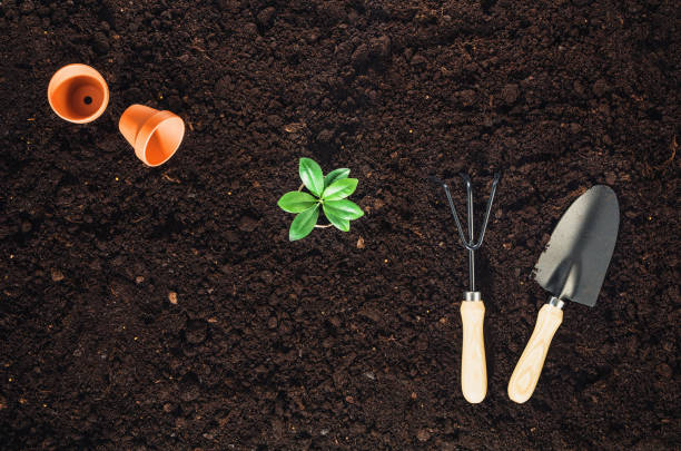 istock Gardening tools on garden soil texture background top view 647821746