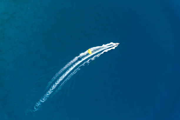 istock Aerial View of Parasailing 647824506