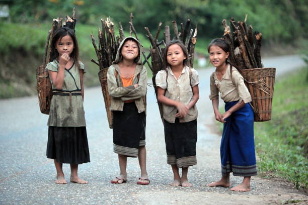 girls with fire wood near the Village of Muang Phou Khoun on the Nationalroad 13 on the way from Vang Vieng to Luang Prabang in Lao in southeastasia.
