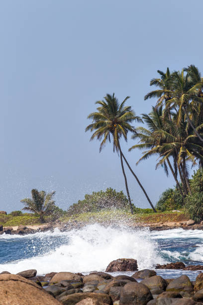 istock Beautiful landscape tropical rocky beach 647830714