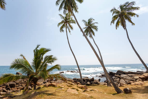 istock Beautiful landscape rocky beach 647830758