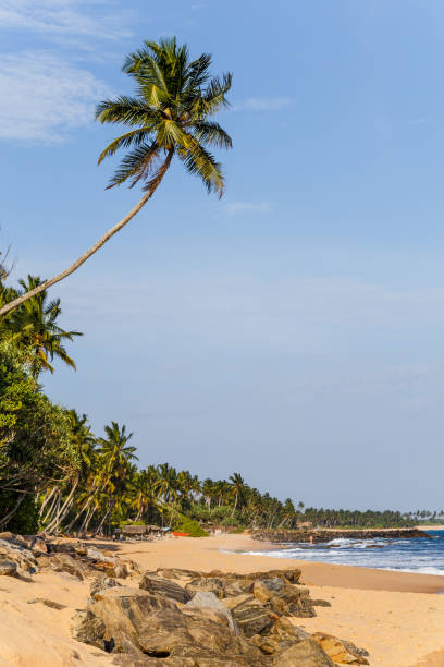 istock Beautiful landscape tropical rocky beach 647830850