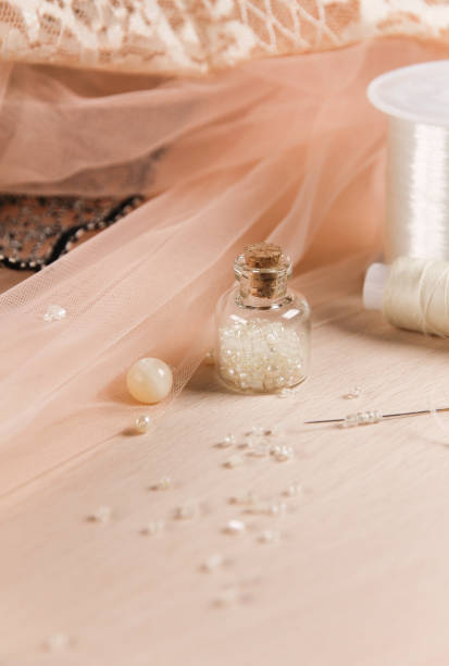 Vestidos De Encaje Color Durazno - Banco de fotos e imágenes de stock - iStock Vestidos De Encaje Color Durazno - Banco de fotos e imágenes de stock - iStock