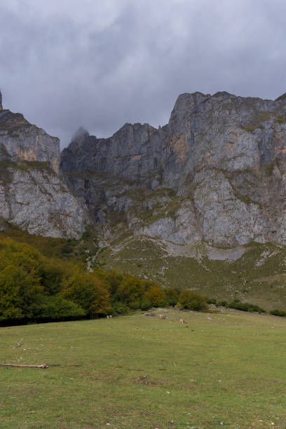istock Peaks of Europe (Cantabria, Spain). 647843004