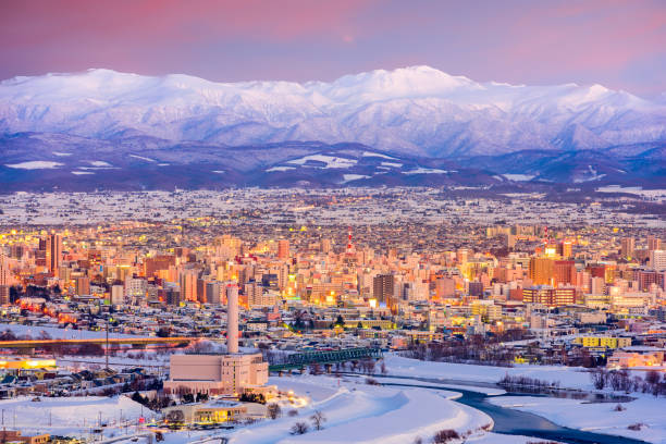 istock Asahikawa, Japan City Skyline 647845470
