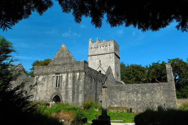 Mystic ruin of Muckross Abbey, Killarney, Ireland