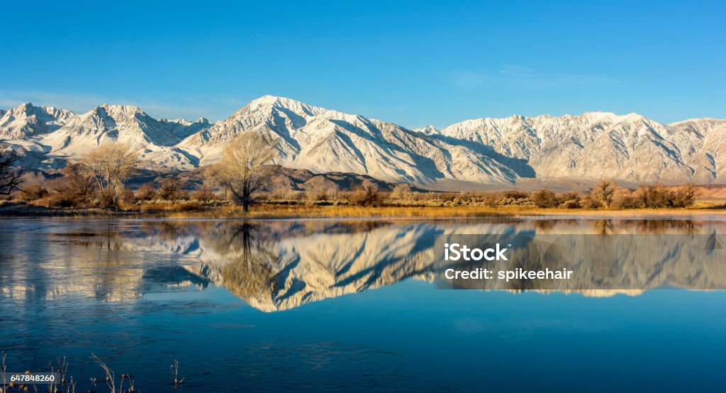 Viendo camas dobles - Foto de stock de Sierra Nevada de California libre de derechos