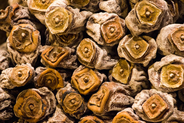istock persimmon dry in the sun as dry fruit 647852478
