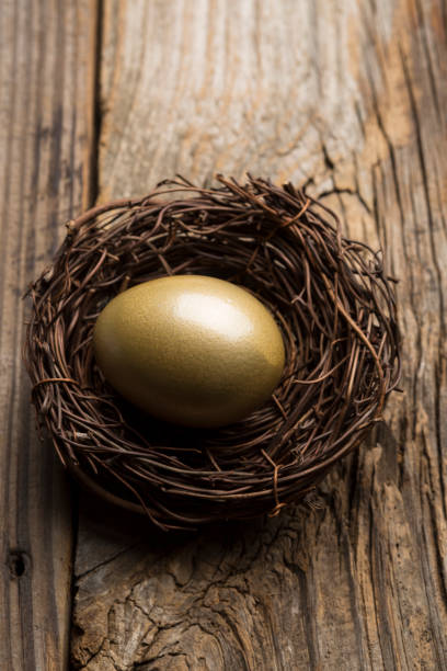 istock Financial Nest Egg and Building Additional Wealth and financial planning 647861622
