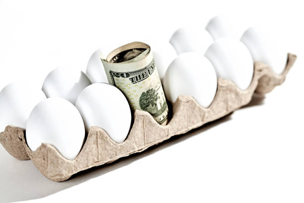 bílá vejce s dvacetidolarovými bankovkami - dluh finance fotky - stock snímky, obrázky a fotky