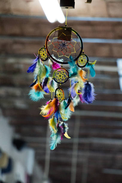 istock Collection of colorful bird feather 647868802