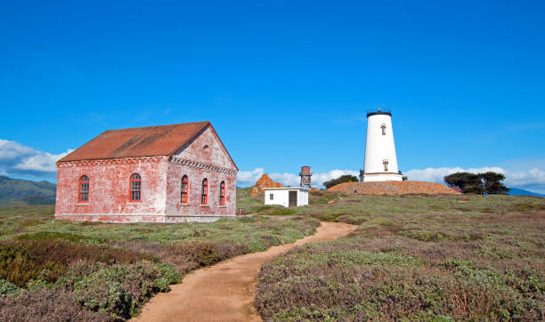 leuchtturm und nebel aus nilzibeln in piedras blancas punkt an der zentralkalifornischen küste nördlich von san simeon california usa - coastline big sur california pacific ocean stock-fotos und bilder