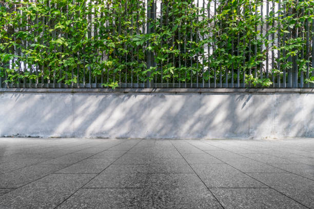 istock Empty green street wall and pavement 647875472