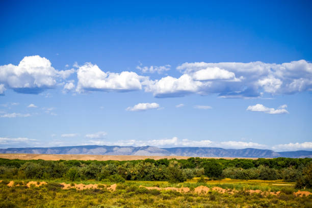 istock Blue Sky and Fluffy Clouds over Southwest Landscape 647958078