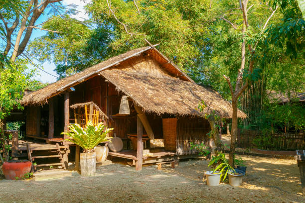 istock Thai traditional house in rural area 647959200