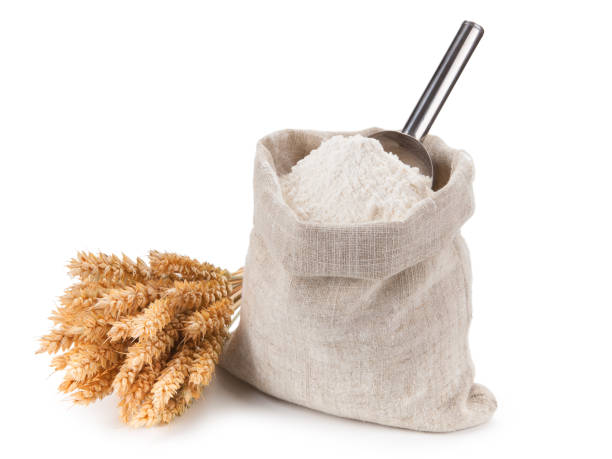 istock Bag of whole flour and bunch  wheat on white background. 647971028