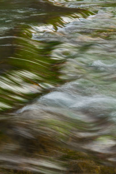 Sacramento River at headwaters in Mt. Shasta, California.