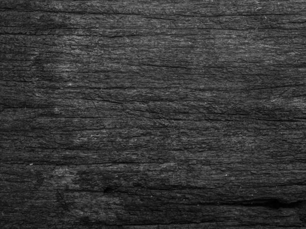 istock Old wood texture background black and white 647978102